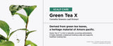 AMOS Professional Green Tea Shampoo, 16.9 fl oz, 2-Pack