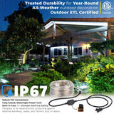 Cool White LED Rope Lights, 2-Wire Flexible PVC Accent Lighting