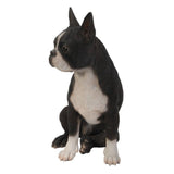 Hi Line 16.5" Boston Terrier Statue, Realistic Polyresin Dog Sculpture
