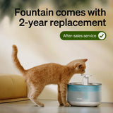 Petlibro Capsule Stainless Steel Cat Water Fountain