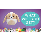 Squishmallows Original 5-Inch Plush Mystery Box 5-Pack