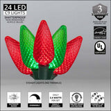 Wintergreen Lighting C9 Christmas Lights, 25-Ct 17FT LED String Lights for Holiday Decorations