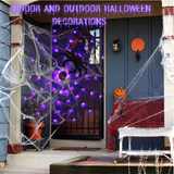 Halloween Spider Web LED Lights 4 Ft, 70 LED Purple Lights with Remote