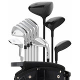 Stix 10-Club Golf Set with Stand Bag & 4 Headcovers Regular Flex Graphite Hybrid