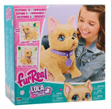 FurReal 15" Train and Play Frenchie Interactive Plush Dog with Voice Accessories