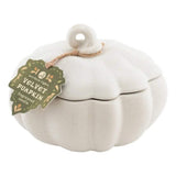 Northern Lights 9 oz. Ceramic Pumpkin Candle, 2-Wick, Up to 20-Hour Burn