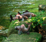 Set of 3 CLYB Metal Koi Fish Garden Statue Set with Antique Copper Verdigris Finish