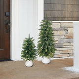 CG Hunter 2' & 3' Glitter Potted Trees with 125 Twinkle Lights, Set of 2