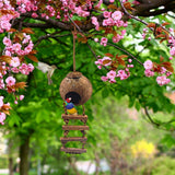 Natural Coconut Shell Hanging Bird House with Ladder – Eco-Friendly Nest for Finches, Sparrows & Parakeets