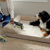 Shark CarpetXpert with StainStriker Upright Carpet & Upholstery Cleaner, EX235