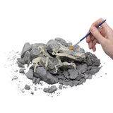 Abacus Illustrated Interactive VR and Learning Activity Set, ESPN Ocean Dinosaur