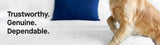 Sealy Sterling Collection Down-Alternative Pillow 2-Pack with 400 Thread Covers