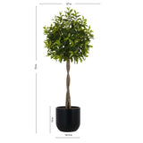 CGH 6' Faux Laurel Tree with Planter – Realistic Look, Hassle-Free Maintenance