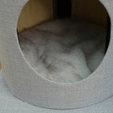 Catry Cohos 64" All-in-one Cat Tree with High Back Sofa, Condo & Washable Bed