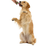 24-Day BARK Winter Wooferland Dog Advent Calendar – 16 Treats, 8 Plush Toys & Digital Surprise