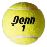Penn Championship Extra Duty Tennis Balls, 20 Cans, 60 Balls