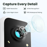 Birdfy AI Smart Bird Feeder with 1080p Camera, Solar Panel & Bird Recognition