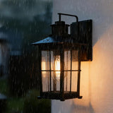 Energetic Lighting Metal Frame Smart Coach Light with PIR Motion Sensor - 800 lm