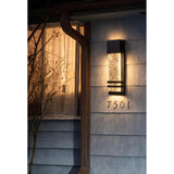 Cedar Hill LED Wall Light, 14" Black Hardwired Fixture, 470 Lumens, Warm White