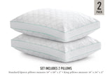 Martha Stewart Garden Trellis Quilted Pillow, 2-Pack Cotton-Tencel Cover Medium