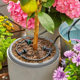 Orbit Gardena Aquabloom Automatic Plant Watering Kit, 10.5L Solar Irrigation Set