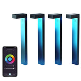 Atomi Smart Color Changing LED Pathway Lights