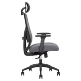 TrueWellness Zentro Ergonomic High-Back Mesh Office Chair with 4-Way Lumbar Support