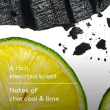 Harry's Stone Body Wash 30 fl oz, 2-Pack – Charcoal & Lime Scent