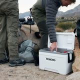 Igloo Marine Ultra 25-Qt Cooler, 36-Can Ice Chest Box for Camping Fishing Party