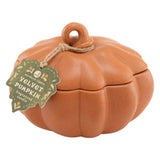 Northern Lights 9 oz. Ceramic Pumpkin Candle, 2-Wick, Up to 20-Hour Burn