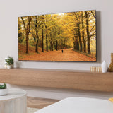 Sanus Home 65"- 140" Tilt Motion Extra Large TV Mount