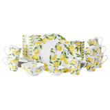 40-Piece Mikasa Lemons Bone China Dinnerware Set – Service for 8