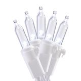 Holiday Time 300-Count Indoor/Outdoor LED Mini Christmas String Lights