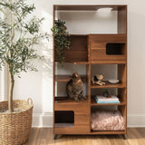 Clifford Cat Tree Bookshelf, Modern Cat Condo with Climbable Shelves