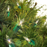 Holiday Time 300-Count Indoor/Outdoor LED Mini Christmas String Lights