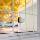 Wyze 3-Pack Window Cam Anti-Glare Indoor Window Security Cameras, Night Vision