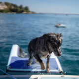 ISLE Dog Catcher Large Inflatable Dog Ramp for Pool, Boat, Dock, Kayak, and Paddle Board