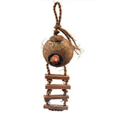 Natural Coconut Shell Hanging Bird House with Ladder – Eco-Friendly Nest for Finches, Sparrows & Parakeets