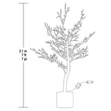 7-Foot Potted Tree with 240 Warm White LED Lights, Indoor/Outdoor Christmas Tree