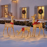 3-Piece 76"/66"/48" Gold Deer Family with 764 LED Twinkle Lights, Plug-In