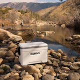 Igloo Marine Ultra 25-Qt Cooler, 36-Can Ice Chest Box for Camping Fishing Party