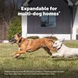 PetSafe Guardian GPS 2.0 Wireless Dog Fence and Real-Time Tracker with 2-Year Subscription