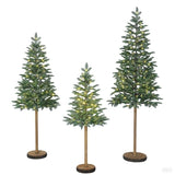 Member’s Mark 3-Piece Pre-Lit Alpine Tree Set with 290 Warm White LED Lights