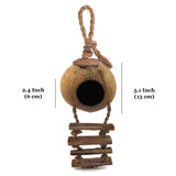 Natural Coconut Shell Hanging Bird House with Ladder – Eco-Friendly Nest for Finches, Sparrows & Parakeets