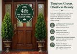 Nearly Natural 2-Pack 4' Faux Cedar Trees, UV Resistant Guest-Greeting Pine Tree