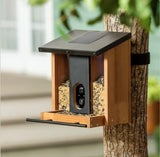 Evergreen Cedar Wood Solar Smart Bird Feeder w/ 1080p HD Camera