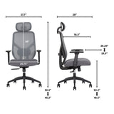 TrueWellness Zentro Ergonomic High-Back Mesh Office Chair with 4-Way Lumbar Support
