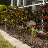 VOLT Premium Solid Brass Solar LED Pathway Lights, 2-Pack 40 LM Landscape Light