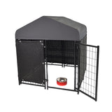 Lucky Dog 4'X4' STAY Series Studio Jr. Dog Kennel with Privacy Screen