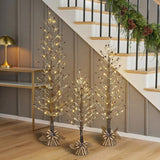 Member’s Mark 3-Piece Pre-Lit Winter Tree Set with 159 Twinkling LED Lights